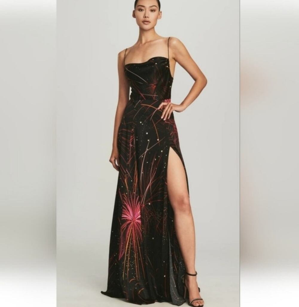 Retrofete Gracie Dress in Fireworks Size Medium Silk Blend NWT Sleeveless Maxi